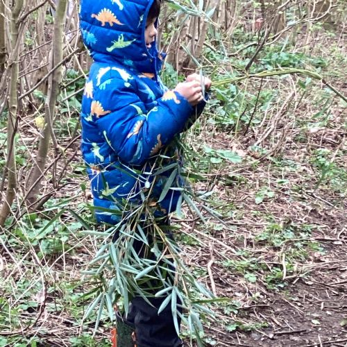 Visiting Forest School